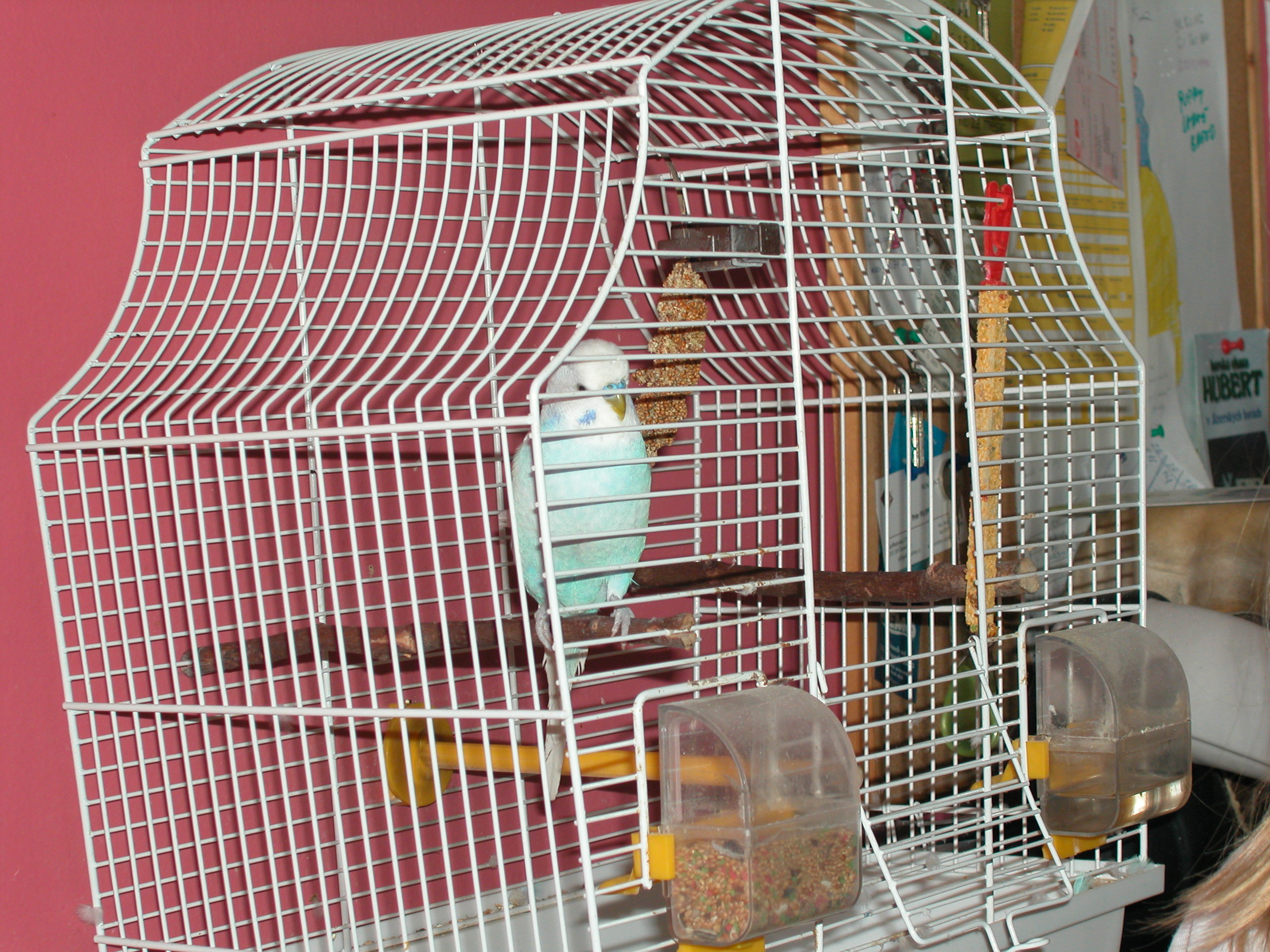 050567MladaBoleslav.JPG